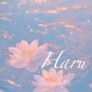 ヒメ日記 2025/04/17 17:39 投稿 華瑠（はる） エスペランサ新館