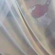 ヒメ日記 2025/07/03 13:53 投稿 華瑠（はる） エスペランサ新館