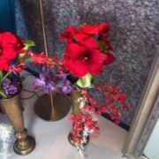 ヒメ日記 2025/08/01 00:39 投稿 華瑠（はる） エスペランサ新館