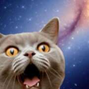 ヒメ日記 2025/11/12 15:29 投稿 華瑠（はる） エスペランサ新館