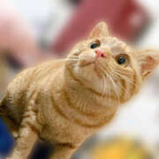 ヒメ日記 2025/04/19 09:57 投稿 なな ふわもこ人妻ランド　那須塩原店