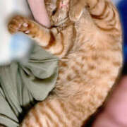 ヒメ日記 2025/04/22 17:12 投稿 なな ふわもこ人妻ランド　那須塩原店