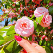 ヒメ日記 2025/04/28 08:27 投稿 なな ふわもこ人妻ランド　那須塩原店