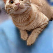 ヒメ日記 2025/05/08 14:33 投稿 なな ふわもこ人妻ランド　那須塩原店