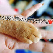 ヒメ日記 2025/05/11 21:42 投稿 なな ふわもこ人妻ランド　那須塩原店