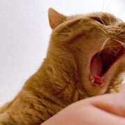 ヒメ日記 2025/05/15 16:27 投稿 なな ふわもこ人妻ランド　那須塩原店