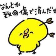 ヒメ日記 2025/05/19 23:18 投稿 なな ふわもこ人妻ランド　那須塩原店