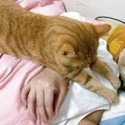 ヒメ日記 2025/05/20 22:27 投稿 なな ふわもこ人妻ランド　那須塩原店