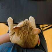 ヒメ日記 2025/05/29 22:06 投稿 なな ふわもこ人妻ランド　那須塩原店