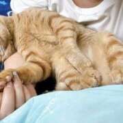 ヒメ日記 2025/05/31 10:57 投稿 なな ふわもこ人妻ランド　那須塩原店