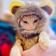 ヒメ日記 2025/06/10 22:27 投稿 なな ふわもこ人妻ランド　那須塩原店