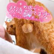 ヒメ日記 2025/06/13 10:06 投稿 なな ふわもこ人妻ランド　那須塩原店