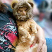 ヒメ日記 2025/06/15 18:33 投稿 なな ふわもこ人妻ランド　那須塩原店