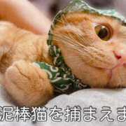 ヒメ日記 2025/06/21 10:12 投稿 なな ふわもこ人妻ランド　那須塩原店