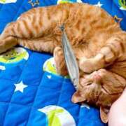 ヒメ日記 2025/06/30 17:48 投稿 なな ふわもこ人妻ランド　那須塩原店