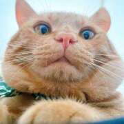 ヒメ日記 2025/07/31 09:06 投稿 なな ふわもこ人妻ランド　那須塩原店