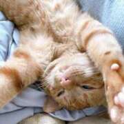 ヒメ日記 2025/09/22 10:00 投稿 なな ふわもこ人妻ランド　那須塩原店