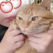 ヒメ日記 2025/09/22 16:12 投稿 なな ふわもこ人妻ランド　那須塩原店