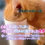 ヒメ日記 2025/09/24 09:18 投稿 なな ふわもこ人妻ランド　那須塩原店