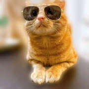 ヒメ日記 2025/11/18 22:03 投稿 なな ふわもこ人妻ランド　那須塩原店