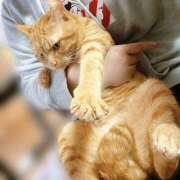 ヒメ日記 2025/12/22 19:33 投稿 なな ふわもこ人妻ランド　那須塩原店