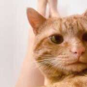 ヒメ日記 2026/03/12 13:18 投稿 なな ふわもこ人妻ランド　那須塩原店