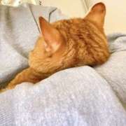 ヒメ日記 2026/03/28 20:12 投稿 なな ふわもこ人妻ランド　那須塩原店