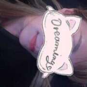 ヒメ日記 2025/04/17 13:30 投稿 しま アラカルト