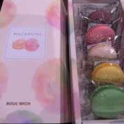 ヒメ日記 2025/04/23 02:58 投稿 しま アラカルト