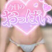 ヒメ日記 2025/05/02 11:01 投稿 しま アラカルト