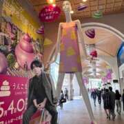 ヒメ日記 2025/05/04 08:25 投稿 しま アラカルト