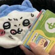 ヒメ日記 2025/05/06 19:53 投稿 しま アラカルト