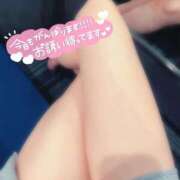 ヒメ日記 2025/05/08 15:45 投稿 しま アラカルト