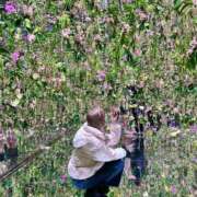 ヒメ日記 2025/05/12 15:43 投稿 しま アラカルト