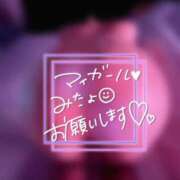 ヒメ日記 2025/05/22 08:12 投稿 しま アラカルト