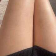 ヒメ日記 2025/06/06 07:13 投稿 しま アラカルト