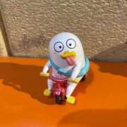 ヒメ日記 2025/06/09 08:13 投稿 しま アラカルト