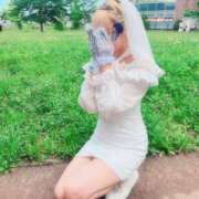 ヒメ日記 2025/06/11 12:04 投稿 しま アラカルト