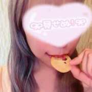 ヒメ日記 2025/06/12 07:09 投稿 しま アラカルト