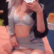 ヒメ日記 2025/06/16 10:57 投稿 しま アラカルト