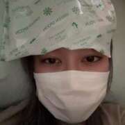 ヒメ日記 2025/10/31 09:15 投稿 しま アラカルト