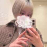 ヒメ日記 2026/03/29 00:22 投稿 しま アラカルト