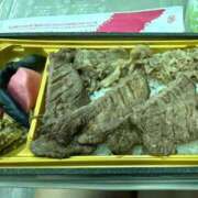 ヒメ日記 2026/08/03 12:11 投稿 しま アラカルト