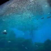 ヒメ日記 2026/02/28 20:58 投稿 るな 実録！おとなのわいせつ倶楽部