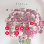 ヒメ日記 2025/04/17 18:13 投稿 もも ティアラ