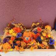 ヒメ日記 2025/10/03 14:37 投稿 てぃあら One More奥様　横浜関内店