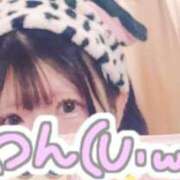 ヒメ日記 2025/11/07 10:33 投稿 てぃあら One More奥様　横浜関内店