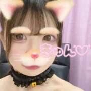 ヒメ日記 2025/11/28 10:31 投稿 てぃあら One More奥様　横浜関内店