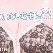 ヒメ日記 2026/01/07 10:07 投稿 てぃあら One More奥様　横浜関内店