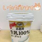 てぃあら 生乳ヨーグルト♡ One More奥様　横浜関内店